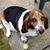 Katie Burdick's profile image