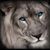 Jessi Miller's profile image