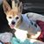 Bailey Carter Griffin's profile image
