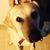 Denice Pauli's profile image