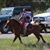 Ryan Soileau's profile image