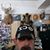 Anastasios Mwraitis's profile image