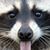 Susan Jones's profile image