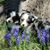 Brianna Scheffler Kannon's profile image