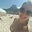 Ana Fantin's profile image