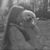 Donna Harris Palmer's profile image