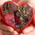 Dennis Nancy Chase's profile image