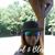 Anita Valenzuela Liddle's profile image
