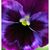 Peggy Hart's profile image