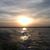 Deborah May Robinson's profile image
