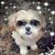Launnie Strebel Jordan's profile image