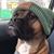 Dallas Sneed's profile image