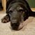 Rob Klink's profile image