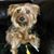 Karen Kolthoff Ruhl's profile image