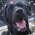 Kathy Loomis's profile image