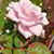 Robert Caldwell's profile image