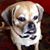 Corey MacVeigh Donaway's profile image