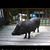 Connie Kling Kisner's profile image