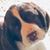 Suzanne Cronin's profile image