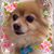 Dedira Creason's profile image