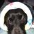 Karen Searcy's profile image