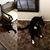Linda Marie Smith's profile image