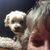 Robin Lea Bullock's profile image
