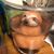 Clara Beaver's profile image