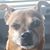 Philip Trapp's profile image