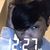 Shara Comeaux's profile image