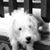 Misty Algier's profile image
