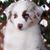 B.l. Elliff's profile image