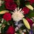 Bronwen Talley-Coffey's profile image