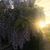 Tabatha Shields's profile image