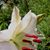 Kathryn Anderson Barnes's profile image