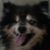 Luci Frye's profile image