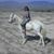 Judy Zoda's profile image