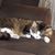 Maria Monks Moyer's profile image