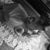 Marlene Reisman's profile image