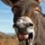 Greg Hogan's profile image