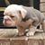 Yia Lee's profile image