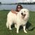 Saundra Heemsoth's profile image