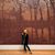 Alicia A. Rober's profile image