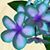 Anne Ruybal's profile image