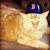 Michelle West McCall's profile image