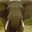 Jose antonio M.'s profile image