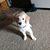 Dawn Matthies's profile image