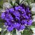 Deb Douglas's profile image