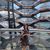 Maila B. Chumacera's profile image