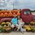 Haleigh Joy Huge's profile image